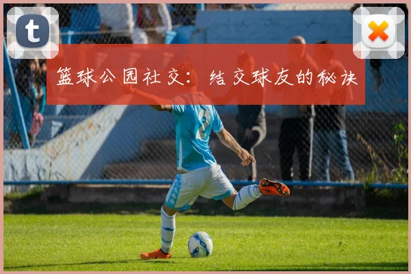篮球公园社交：结交球友的秘诀